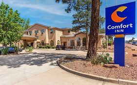 Comfort Inn Payson